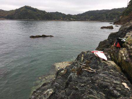 湯浅カルモ島で歳なしチヌ