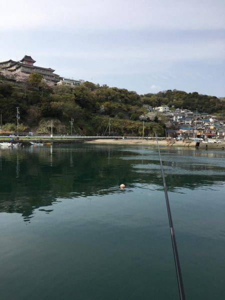 イワシ爆釣