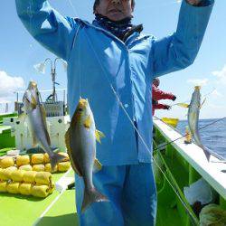 松栄丸 釣果