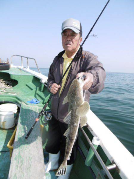 かもめ釣船 釣果