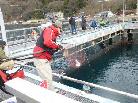 海釣り公園みかた 釣果