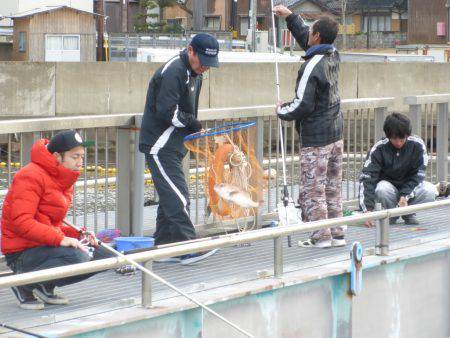 海釣り公園みかた 釣果