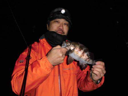 ルアー船マヒマヒ 釣果