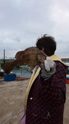 秀丸 釣果