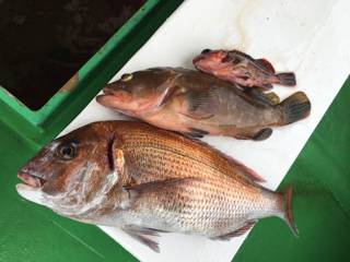 利弥丸（としやまる） 釣果