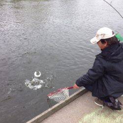 吉羽園 釣果