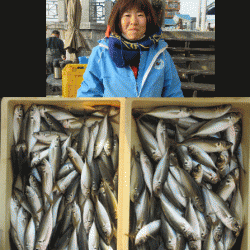 荒川屋 釣果