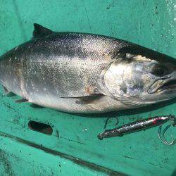 広進丸 釣果