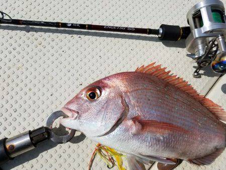 遊漁船　ニライカナイ 釣果