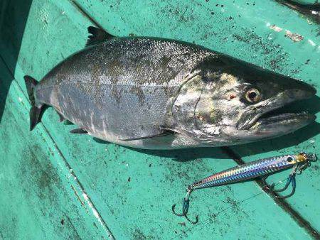 広進丸 釣果