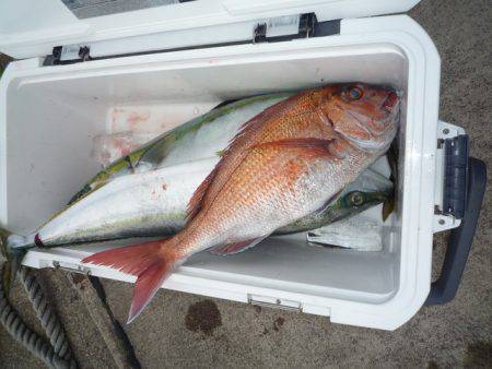 浅間丸 釣果