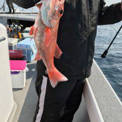 へいみつ丸 釣果