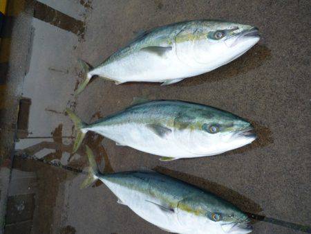 浅間丸 釣果