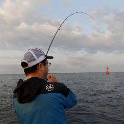 フィッシングボート空風（そらかぜ） 釣果