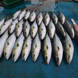 アジアマリンサービス 釣果