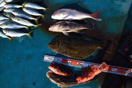 アジアマリンサービス 釣果