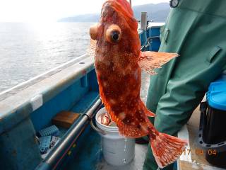 作十丸 釣果