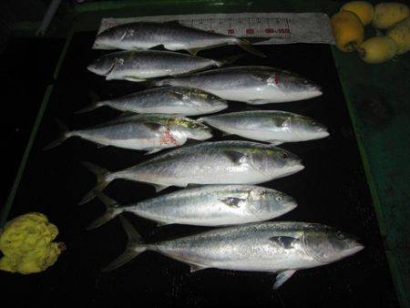 海宝丸　島根 釣果