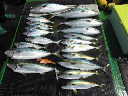 海宝丸　島根 釣果