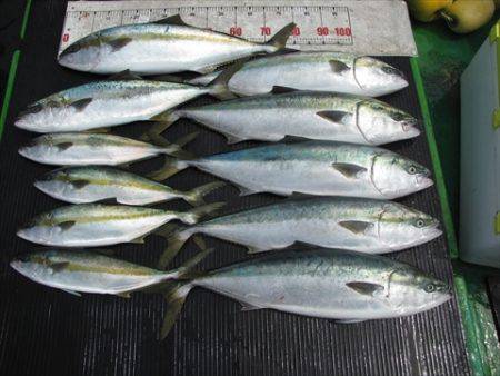 海宝丸　島根 釣果