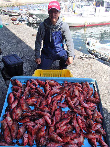 久六釣船 釣果