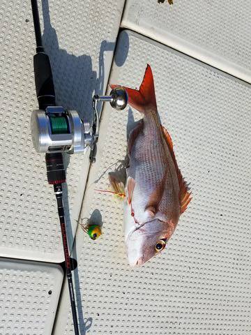 遊漁船　ニライカナイ 釣果