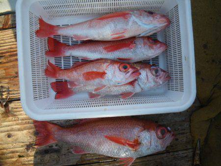 小海途 釣果