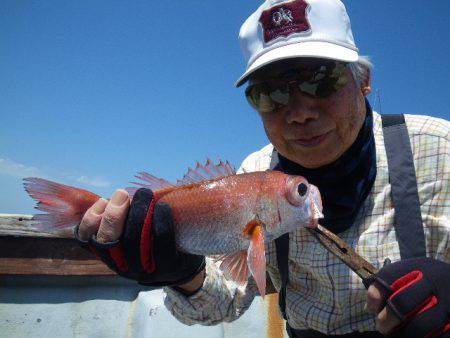 小海途 釣果