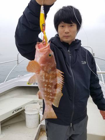 遊漁船　ニライカナイ 釣果