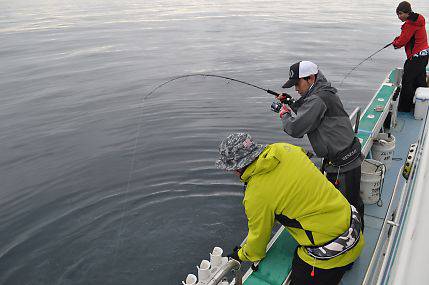 八海丸 釣果