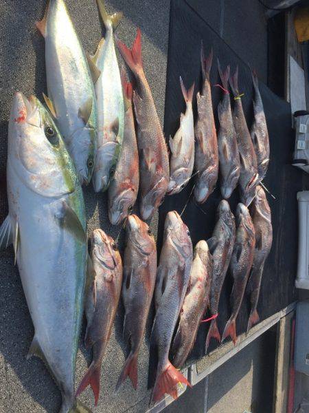 幸風（さちかぜ） 釣果