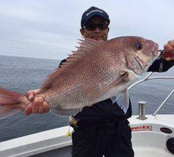 シーモンキー 釣果