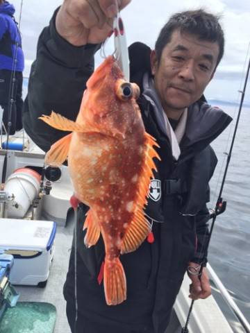 シーモンキー 釣果