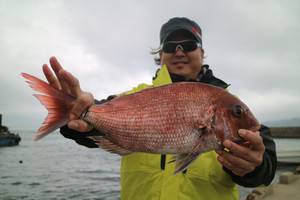 魚英 釣果