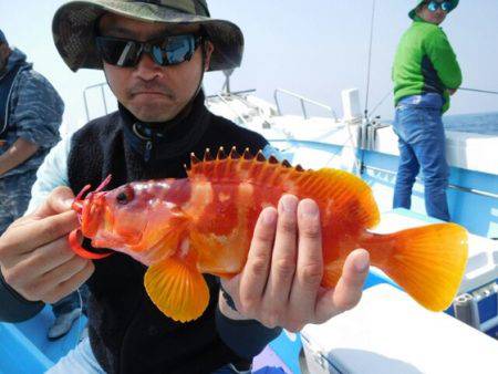 海晴丸 釣果