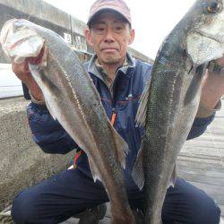 美里丸 釣果