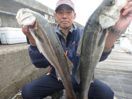 美里丸 釣果