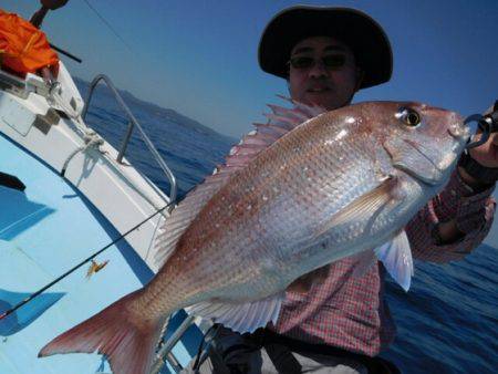 海晴丸 釣果