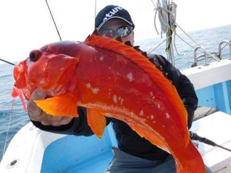 海晴丸 釣果