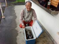 なごみ船 釣果