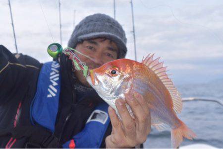 渡船屋たにぐち 釣果