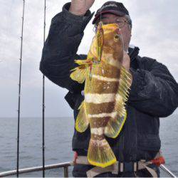 渡船屋たにぐち 釣果