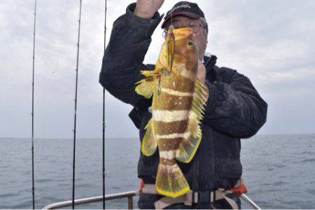 渡船屋たにぐち 釣果