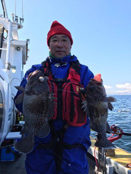 シーランチ 釣果