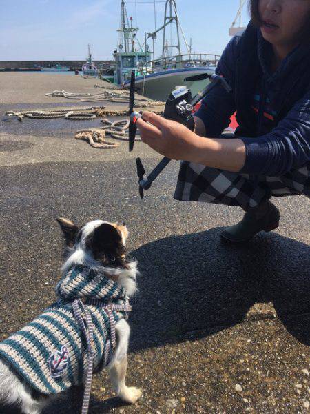 山正丸 釣果