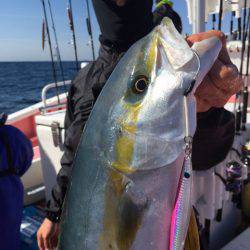 山正丸 釣果