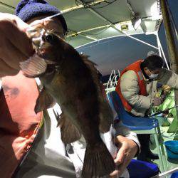 ヤザワ渡船 釣果