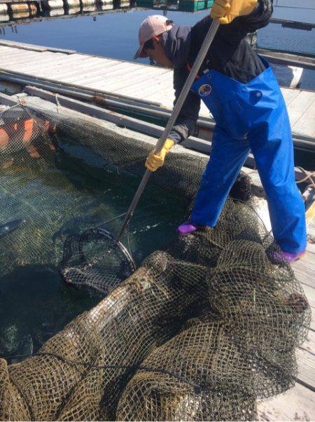 釣り堀水宝 釣果