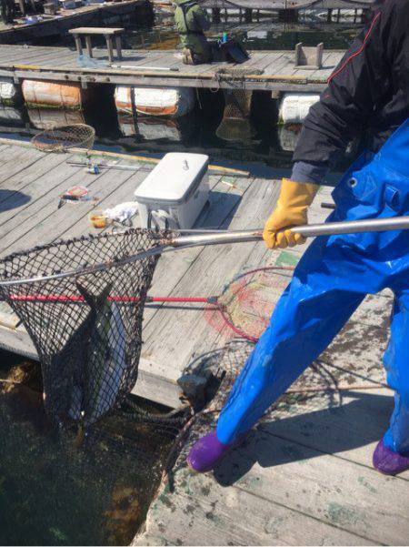 釣り堀水宝 釣果