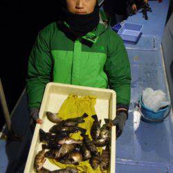 ヤザワ渡船 釣果